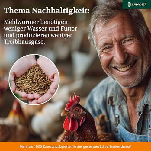 Amprosia Mehlwürmer lebend, Eiweißreiches Futter und Leckerbissen für Reptilien, Amphibien, insektenfressende Haustiere und Vogelfutter, Würmer Snack für Haustiere 50g, Lebende