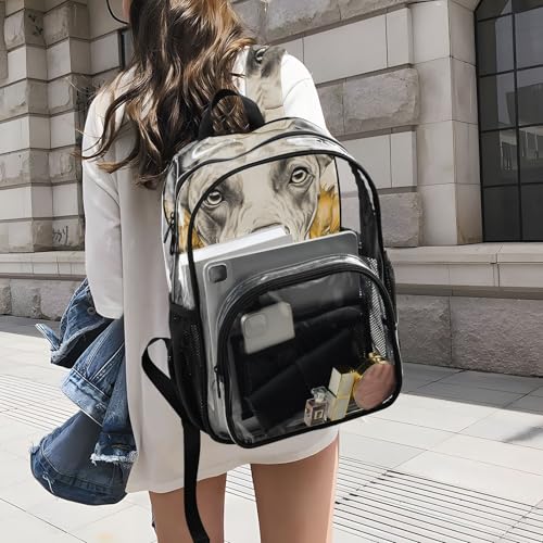 Dog Floral Gold Clear Backpack, PVC Transparent Bag with Large Capacity for Boys, Girls, Men, Women, See Through Bookbag for School Work College Travel4