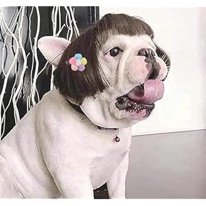 Funnydogwigforsmallmediumlargedogswithfreeheadflowertrimmablepetcostumecatcosplaydecorationforhalloweenchristmasparties Urban Country Home Decor Funny dog wig for small medium large dogs with free head flower trimmable pet costume cat cosplay decoration for halloween christmas parties urban country home decor