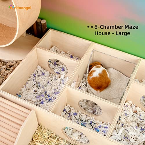 Niteangel Small Animal Sand-Bath Box - Image 3