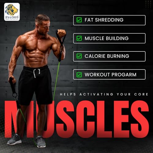 Image of PRO365 Premium Resistance Bands | Visible 100 Lbs Adjustable | Full Set | Thickened Door Anchor | Soft Cushioned Handles | Ankle Straps | Carry Bag | Instruction Manual | 6 Months Warranty