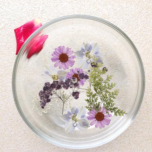 Set de flores secas prensadas 81 piezas multicolor miniatura 7
