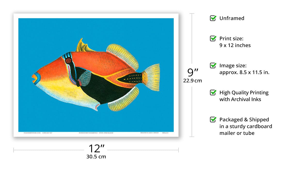 希少】HAWAIIAN FISHESハワイの魚の画集 洋書 希少】HAWAIIAN FISHES