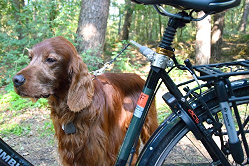 dobar® 62000 Walky Dog Plus Hunde Fahrradleine - Abstandhalter aus Edelstahl - Fahrradhalter mit Dreifach-Rückdämpfer - Zugkraftleine mit Quicklock und Abstandhalter - 37.5 cm - Silber