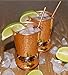 Eximius Power EXTRA THICK HEFTY- set of 2 | Bonus Jigger 2 Straws Recipe Book| 20 Gauge Copper Mugs 100% Pure Food Safe Copper Drinking Cups |16 oz Hammered Design Handcrafted Tumblers