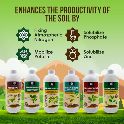 Image of OrganicDews Azospirillum, Azotobacter, Rhizobium, PSB, KMB, Zinc Solublizing Bacteria 1 Litre Bio Fertilizer Combo - Increases Soil Fertility, Plant Growth & Yield