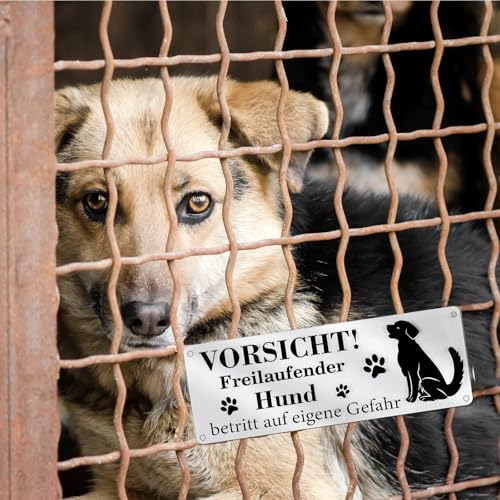 Bzzerumy Freilaufender Hund Schild, Warnung vor dem Hund, Vorsicht Hund Schild, Hundeschild, Warnschild Hund, Edelstahl Hund Warnschild, Schilder Außenbereich