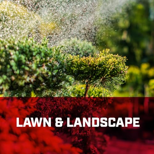 Chapin Made in The USA, 1244 2-Gallon Tri-Poxy Steel Tank Sprayer for Lawn, Home and Garden, Red