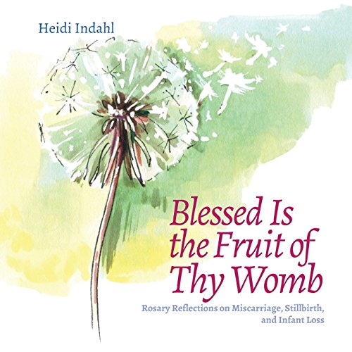 Blessed Is the Fruit of Thy Womb: Rosary Reflections on