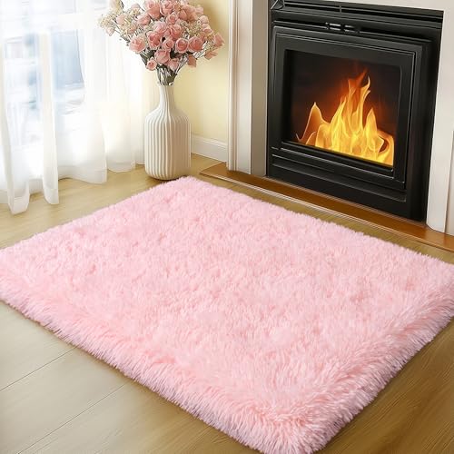 Small Pink Rug for Bedroom, 2x3 Fluffy Shaggy Area Rugs for Girls Kids Room, Soft Non-Slip Fuzzy Shag Carpet for Living Room, Indoor Floor Throw Rugs for Home Decor
