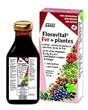 Salus – Floradix – Floravital sin gluten – Botella 250 ml.