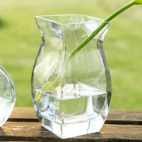 Buy Modern Style Glass Vase Transparent Small Desktop Vase Home Decoration Terrarium Hydroponic