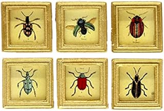 Melody Jane Dollhouse 6 Beetle Pictures Paintings in Square Gold Frame Miniature Accessory