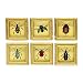 Melody Jane Dollhouse 6 Beetle Pictures Paintings in Square Gold Frame Miniature Accessory