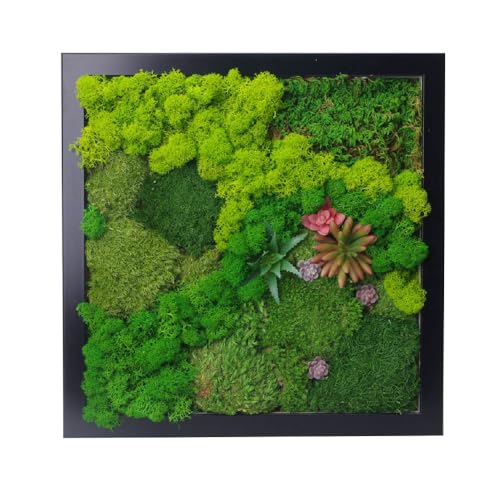 ACADOIT Moss Wall Art - Green03