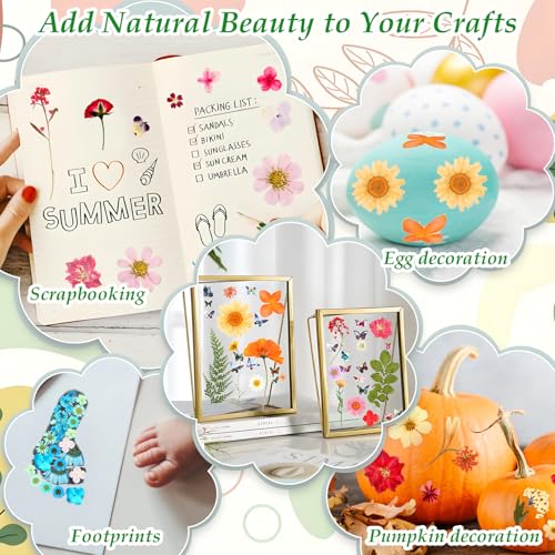 Image of 500 PCS Dried Flowers Butterfly Stickers for Crafts Real Natural Pressed Flowers Dry Leaves Kit for DIY Making Crafts Resin Soap Candle Scrapbook Supplies Card Making Jewelry
