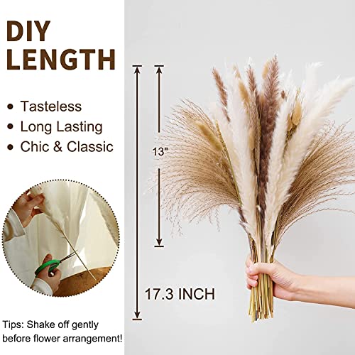 Pampas Grass Large 80 Pcs Dried Pampas Grass Decor Flores miniatura 3