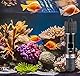 GERUI 2 stück USB Aquarium Heizung 10W Mini-Aquarium Heizstab Mit Thermostat,Thermostat Aquarium Schildkrötenheizung für kleine Aquarien Für Salzwasser Und Süßwasser
