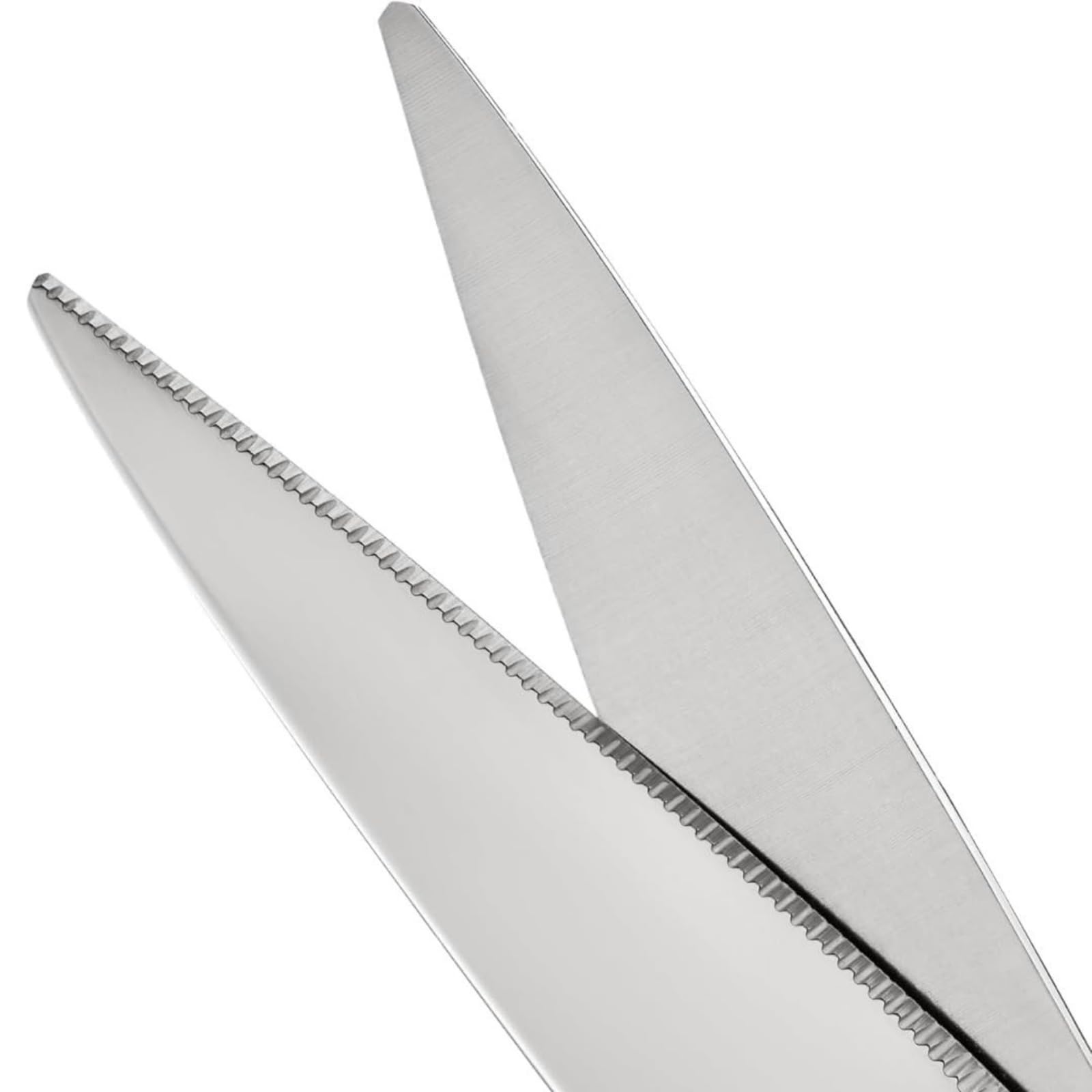 NTS Solingen Tijeras de cocina forjadas de acero inoxidable, edición BBQ Edition, fabricadas en Alemania, tijeras domésticas de alta calidad adecuadas para diestros y zurdos, tijeras afiladas para la