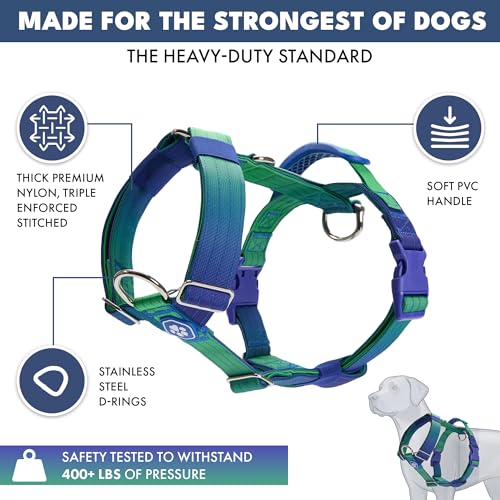 Image of Spark Paws No Pull Dog Harness with Handle for Large Dogs, Heavy Duty Dog Harness for Big Strong Breeds, Adjustable, Y Shaped Padded Halter Design with Front Clip - Lime Wave - S