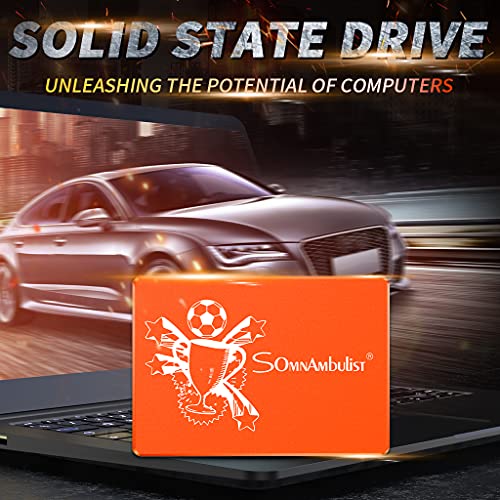 Somnambulist SSD 60GB SATA III 6Gb/s 2.5 Unità a