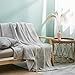 Simple&Opulence Solid Coral Jacquard Dot Velvet 50 X 60-Inches Throw Blanket, Grey