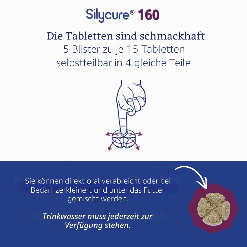 ANIDEV Silycure 160 – Ergänzungsfuttermittel zur Unterstützung der Leberfunktion für Hunde – Silybin Mariendistel – Appetitliche Tabletten vierfach – 75 Tabletten