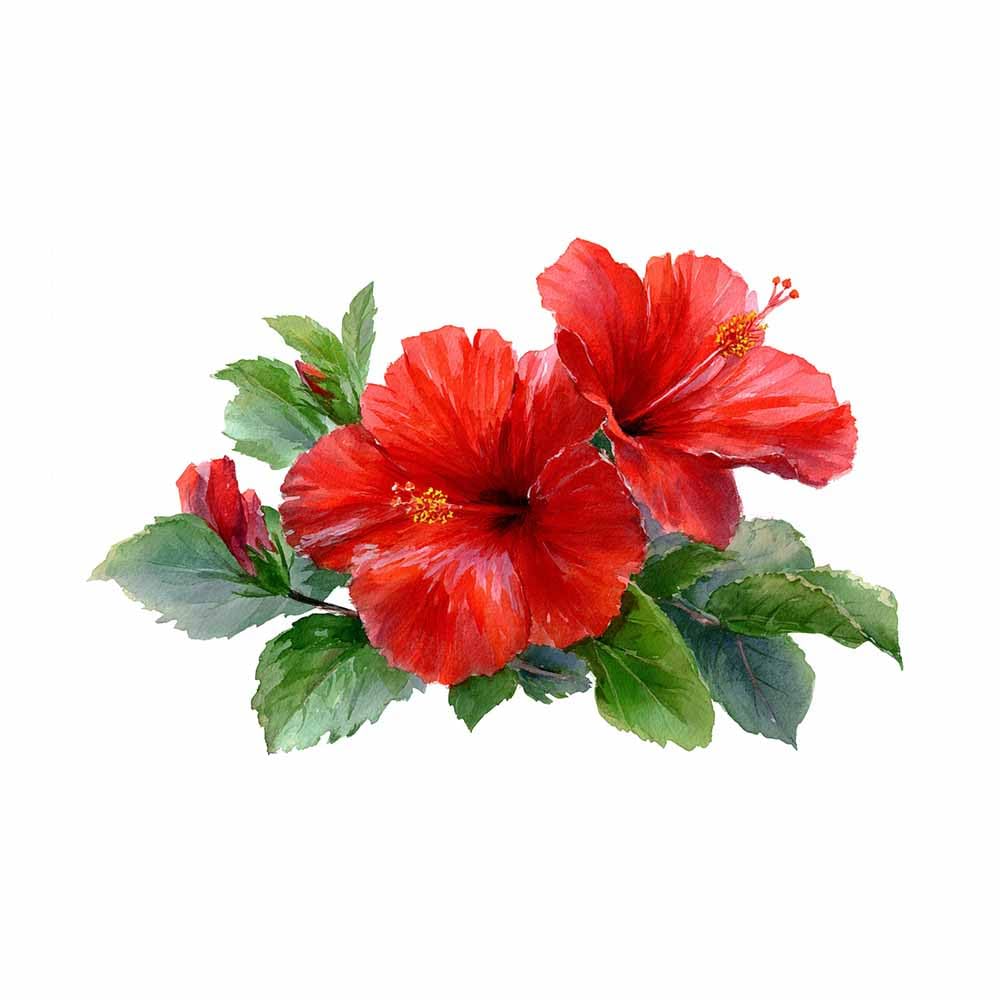 ZAMAEIU Landscape Pictures For Wall Hibiscus branches art prints and posters, Suitable for Living Room Bedroom Decor apartment Wall Decoration(red)-50x70cm Unframed