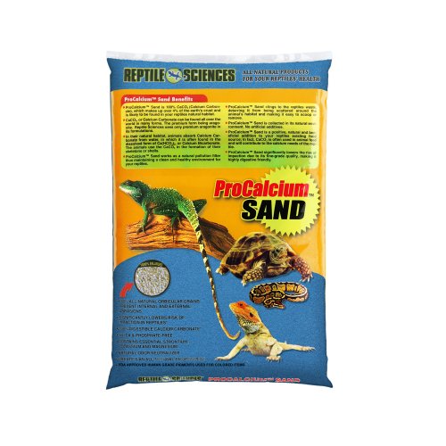 Top 10 Best Sand For Bearded Dragons Reviews & Buying Guide Katynel