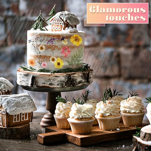 72 flores secas prensadas para manualidades DIY miniatura 3