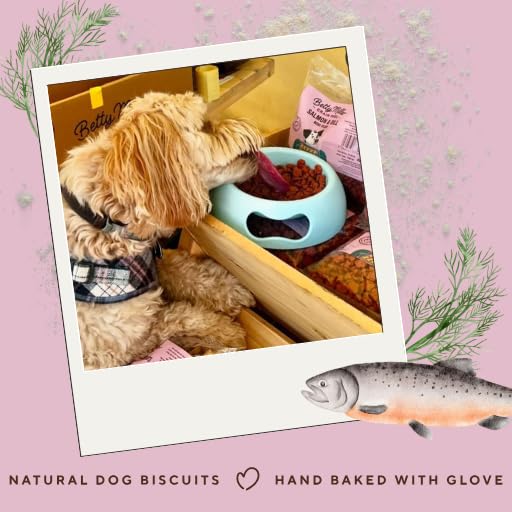 Betty Miller Grain Free Dog Treats - Mini Salmon & Dill Paws - British Baked Dog Biscuits - Ideal Dog Treats for Small Dogs - Image 3