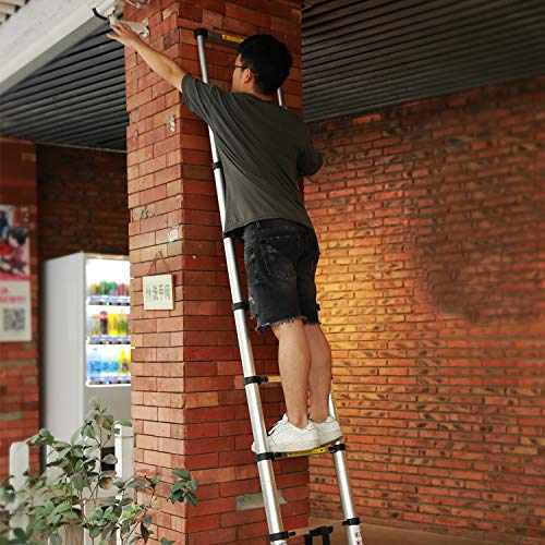 Multi-Position Telescoping Ladder