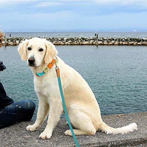 Personalisierte Hundehalsbänder mit Eingravierter Schnalle für Kleine Mittlere Große Hunde, Benutzerdefinierte Nylon & Echtes Leder Nähen Hundehalsband mit Namen
