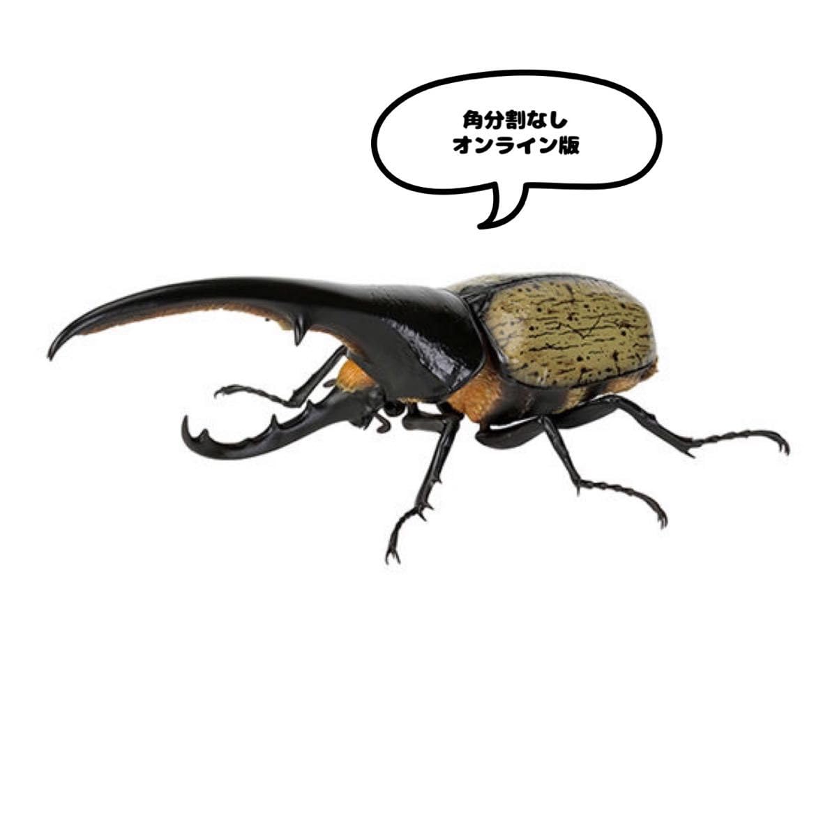 いきもの大図鑑 かぶとむし07　ヘラクレス・ヘラクレス改（黄褐色） Amazon.co.jp: いきもの大図鑑 かぶとむし07 ヘラクレス ヘラクレス改