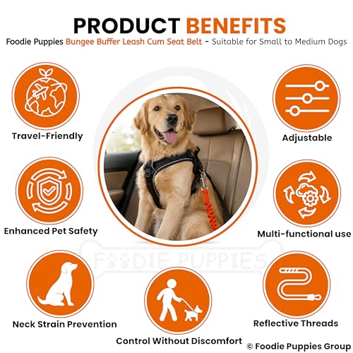 Image of Foodie Puppies 3-in-1 Reflective Dog Car Safety Harness Leash with Adjustable Bungee Seat Belt Strap, 360 Swivel Carabiner & Quick Release Buckle for Safe Car Travel, Walking (Colour May Vary)