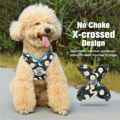 Pawaboo Hundegeschirr mit Hundeleine Set, X-Rahmen Verstellbares Anti Zug Anti-Erstickung Hund Brustgeschirr für Kleine, Mittelgroße Hunde & Welpen, Hundeweste mit Leine, S, Schwarze Gänseblume