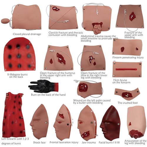 Image of 43PCS Trauma Manikin Moulage Kit Trauma Evaluation Set Burn /Wound Module for First Aid Trauma Care Training Full Body CPR Manikin Trauma Assessment Module for Manikin Training Model