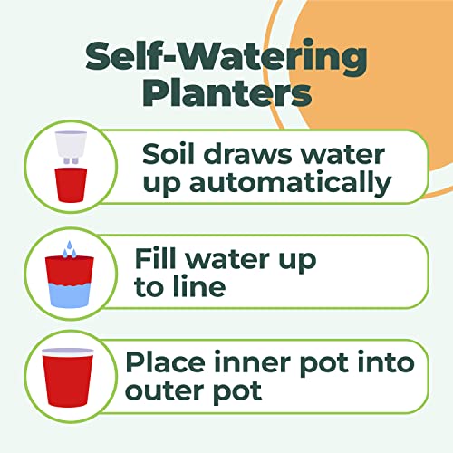 Window Garden Sow Much Fun Seed Startining Kit For Kig, Vegetable Planting And Growds, 3 Self Watering Planters, Soil, Seeds And Puffy Stickers. No Mess, Easy (Cucumber) #TOP3