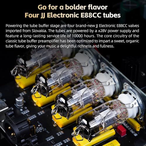 Image of FIIO Warmer R2R Desktop Tube Buffer & R2R DAC /Amp - Fully Differential 24-Bit R2R Resistor Ladder, Dual VU Meters, 46W Linear Power Supply, USB /Optical /Coaxial Inputs, RCA /XLR Output (Black)