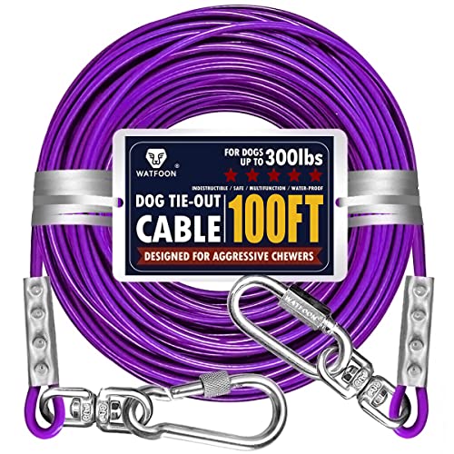 Unleash the Power of Durability A Guide to the Top 10 Heavy Duty Dog