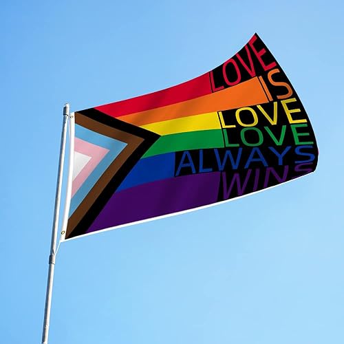 Miniatura 7 de ChillOutPal Bandera de lesbiana de 3 x 5 pies, bandera de jardín impermeable de polietileno con colores vibrantes para desfiles de orgullo,