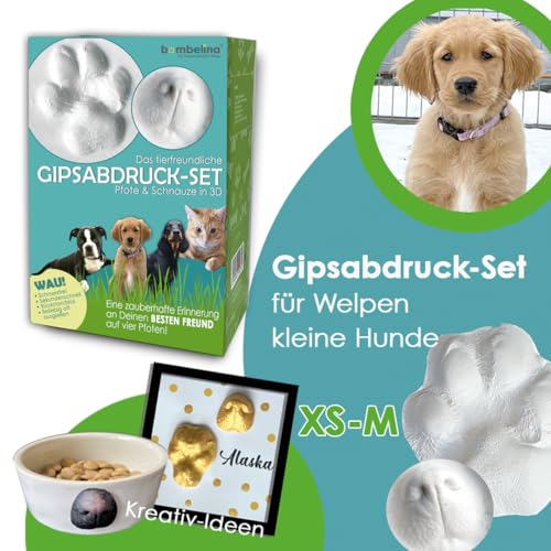bambelina® Gipsabdruck Set Hundepfote und Hundenase. 3D Abdruck-Set Hund und Katze für Pfote und Schnauze, wiederverwendbare Gießform, Deutsche Herstellung, Pfotengröße XS bis M