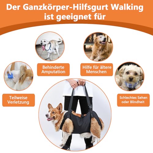 Tragehilfe Hund Hilfsgurt,Hunde Tragehilfe Einstellbar Hundetrage und Hubhilfe Hundetragetasche, Geeignet für Mittlere Verletzungen oder ältere Hunde, M
