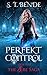 Perfekt Control (The Ære Saga Book 2)