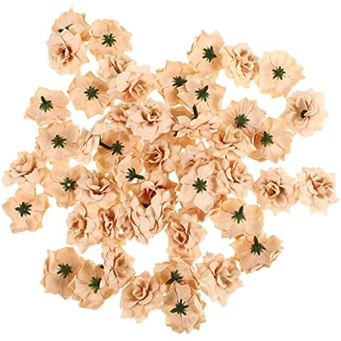 ULTNICE 50 künstliche Stapelia-Blumenköpfe für Zuhause, Hochzeit Cover