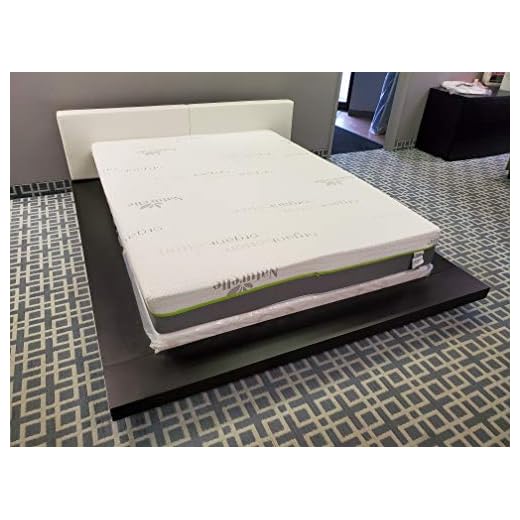 ECO (Dream Green) 8" - 100% Organic Latex Mattress (Queen 59.5"x 79.5", 6" Firm 2" Medium)