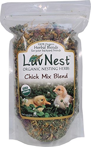Luv Nest Blend Chick Mix
