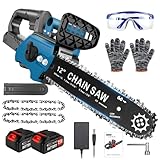 【2025年発売】チェーンソー 充電式 電動チェーンソー 12インチ 切断径300mm ブラシレスモーター 21Vバッテリー 4000mAhバッテリー2個 マキタ互換 自動給油 コードレス 強力 安全ロック 操作便利 園芸設備 伐採 薪作り 家庭用 木工切断 枝切庭木の剪定 薪作 竹の伐採 日本語取扱説明書 PSE認証取得済み レッド&ブルー (ブルー)