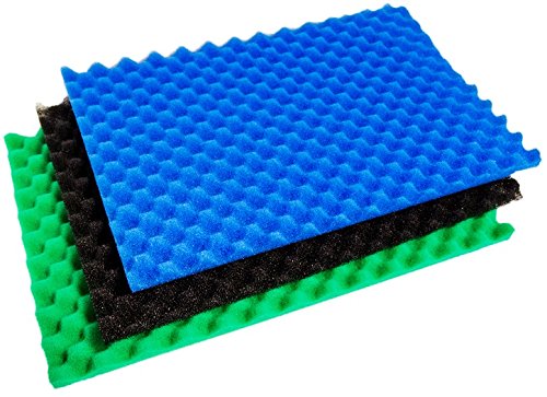 koi fish foamposites