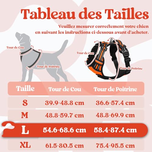 rabbitgoo Harnais Chien avec 3 Boucles, Facile à Mettre et à Enlever, Harnais Anti Traction pour Chien avec Poignée et Attache Devant, Réglable, Réfléchissant, Arnet pour Chiens Grand, Orange, L – vue 2